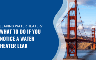 Water Heater 101: Dealing with a Leaking Water Heater