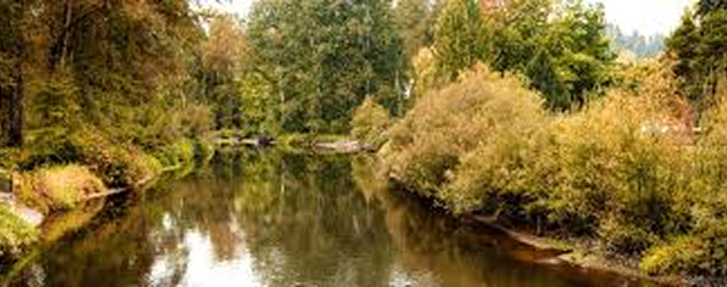 Park at Bothell Landing