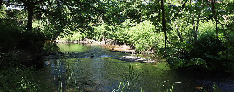 Al Borlin Park