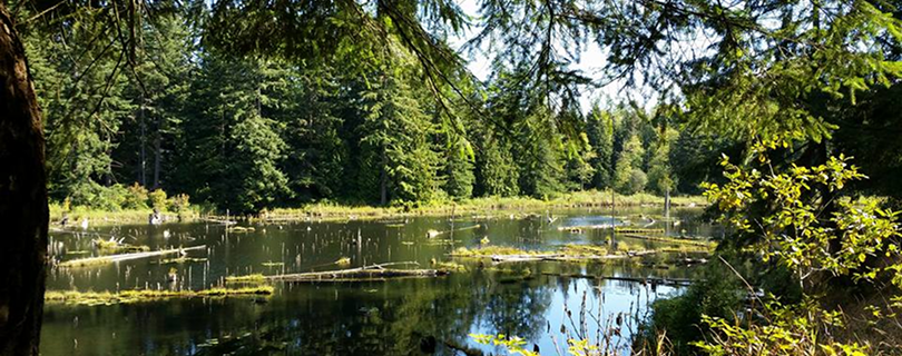 Lord Hill Regional Park