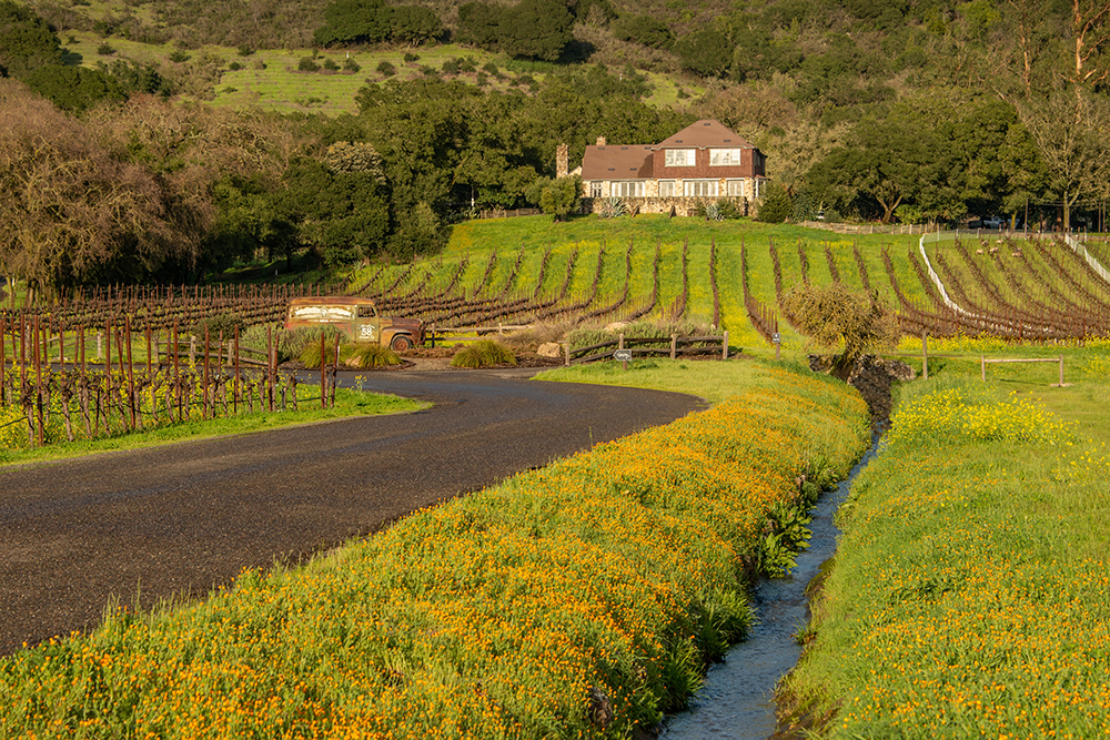 Sonoma, CA